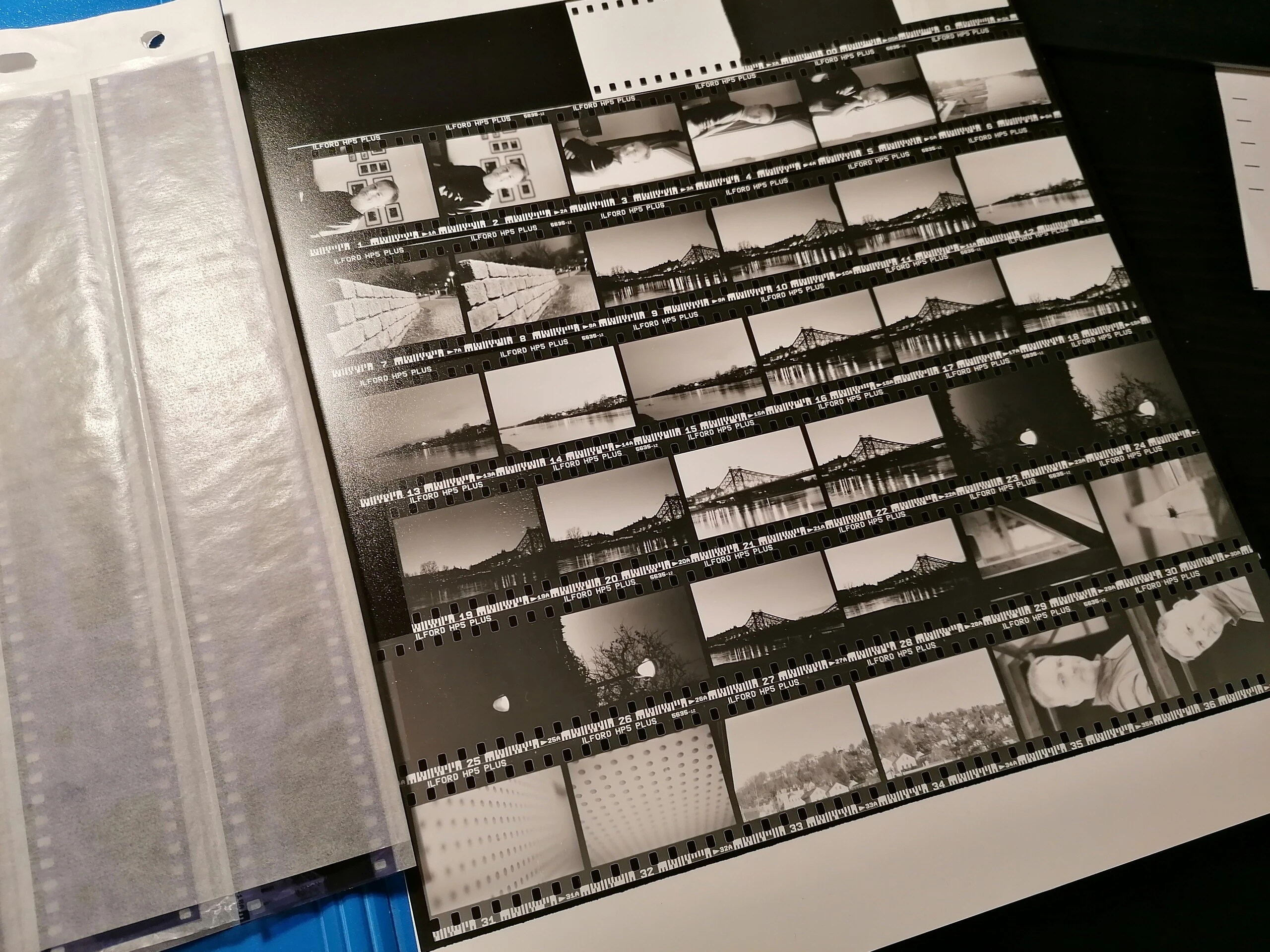 ein Kontaktabzug analoger Fotos